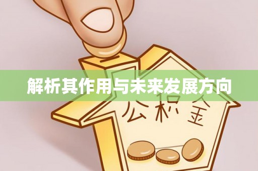 濉溪解析其作用与未来发展方向