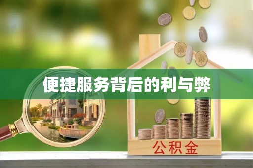 濉溪便捷服务背后的利与弊